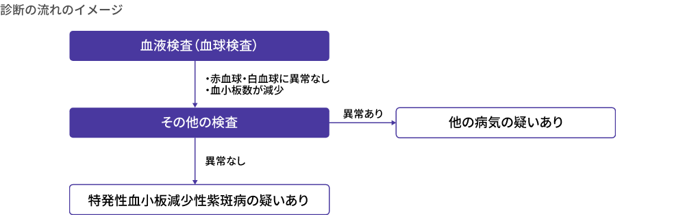 診断の流れのイメージ