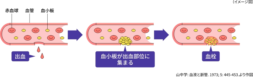 血小板の主な役割